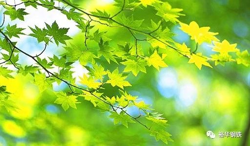 梦想因春天生出希望 梦想因春天生出希望