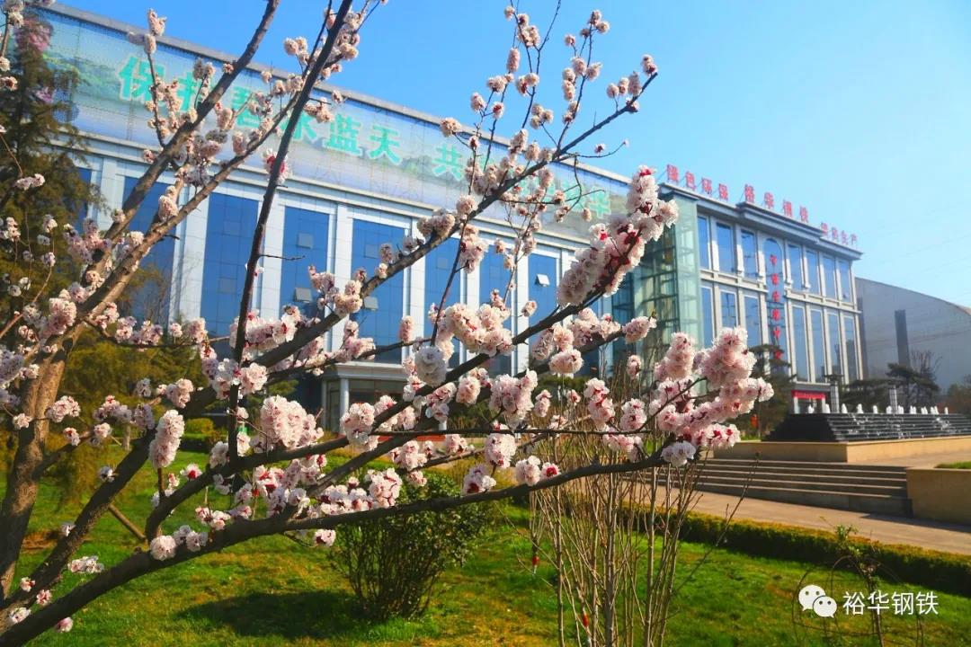 五彩缤纷 扮靓生态冀钢 五彩缤纷 扮靓生态冀钢