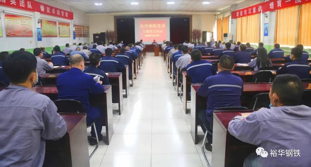 集团党委组织开展“主题党日”活动